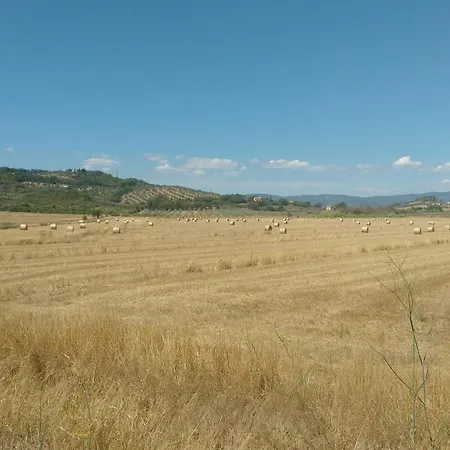 Marrucheto Farm stay