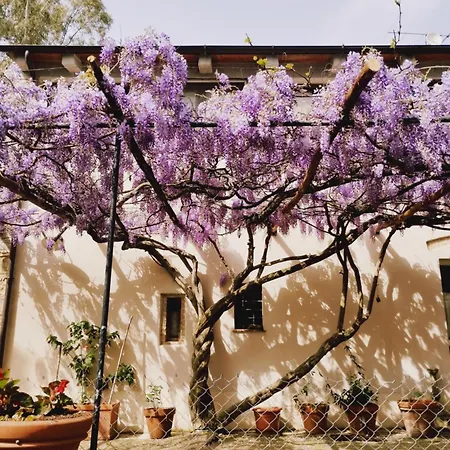Farm stay Marrucheto Giuncarico