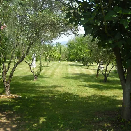 Marrucheto Giuncarico