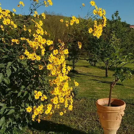 Séjour à la ferme Marrucheto *