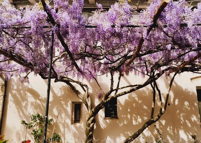 Feriegård Marrucheto Giuncarico